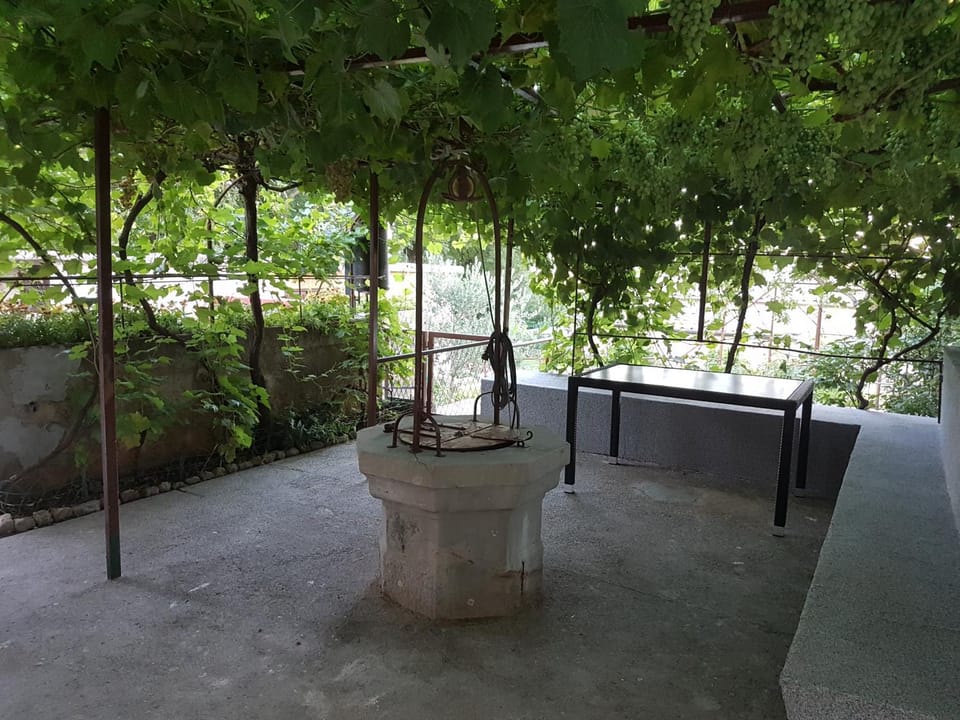 Patio, BBQ facilities
