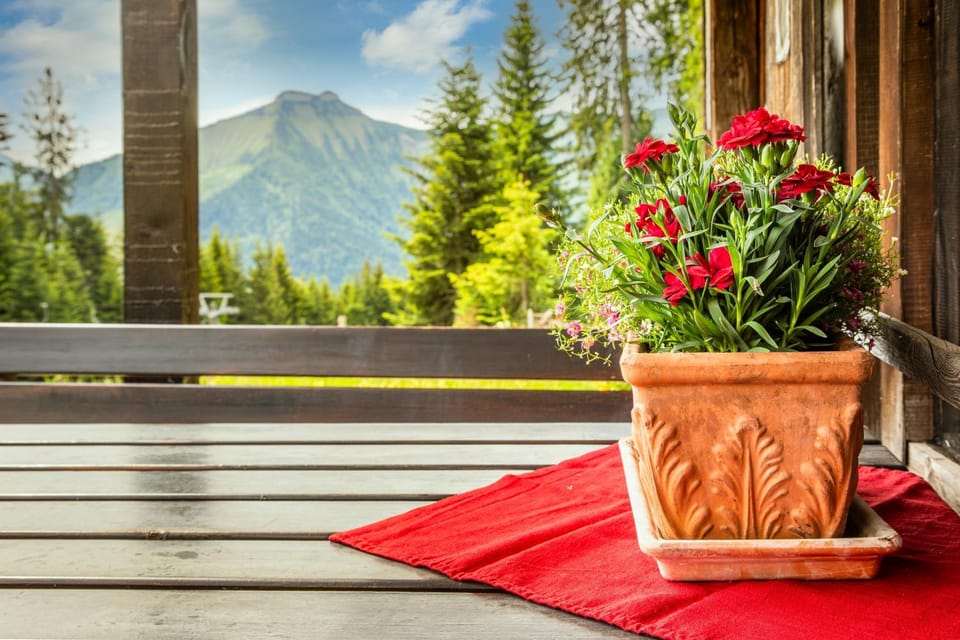 View (from property/room), Balcony/Terrace