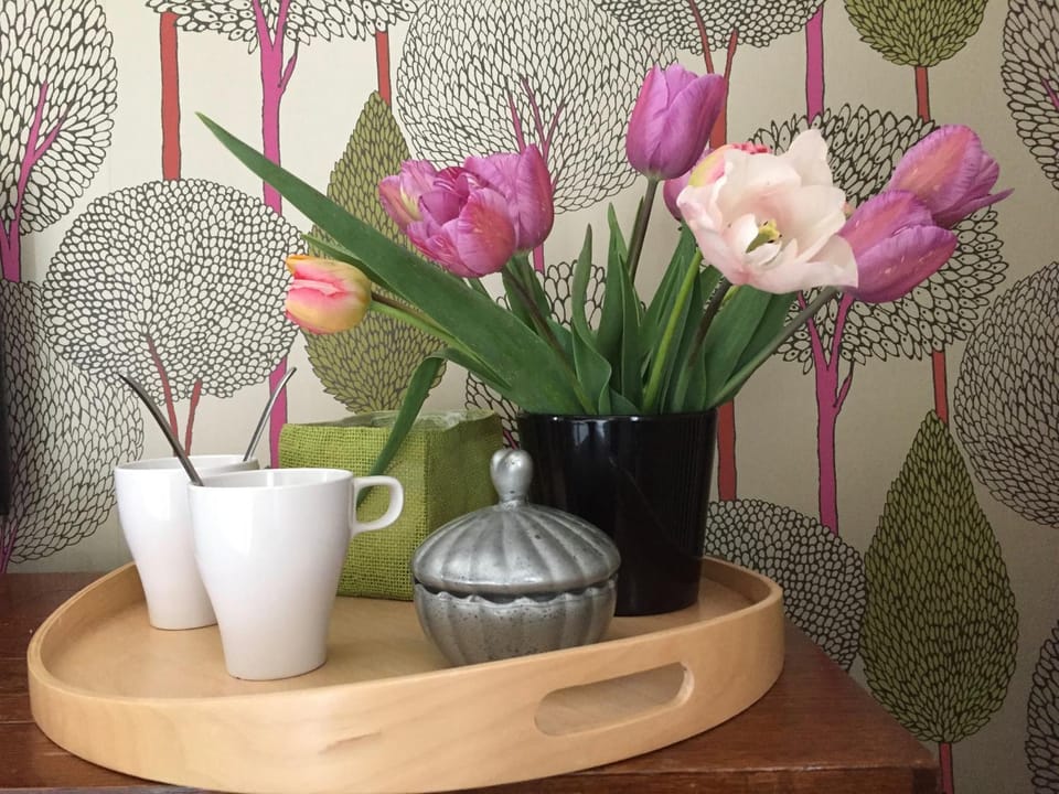 Toilet, Garden, Garden, Library, Library, Bathroom, TV and multimedia, Coffee/tea facilities, Decorative detail, Seating area, Bedroom, Communal kitchen, Garden view, Continental breakfast, Non alcoholic drinks