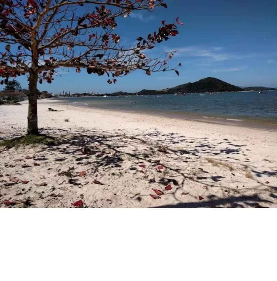 Day, Natural landscape, Beach, Mountain view, Sea view