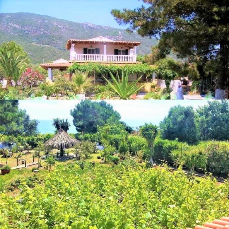 Property building, Natural landscape, Garden