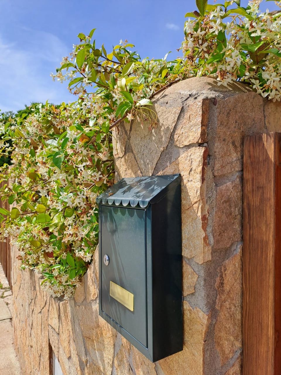 Garden, Decorative detail, Decorative detail