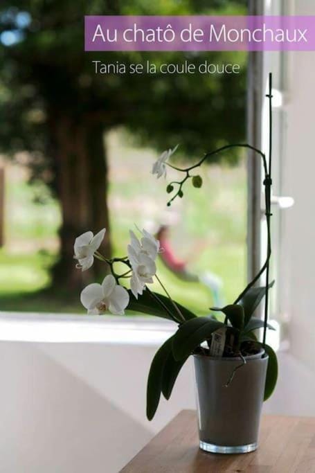 Au ChAtô Quend-plage House in Quend