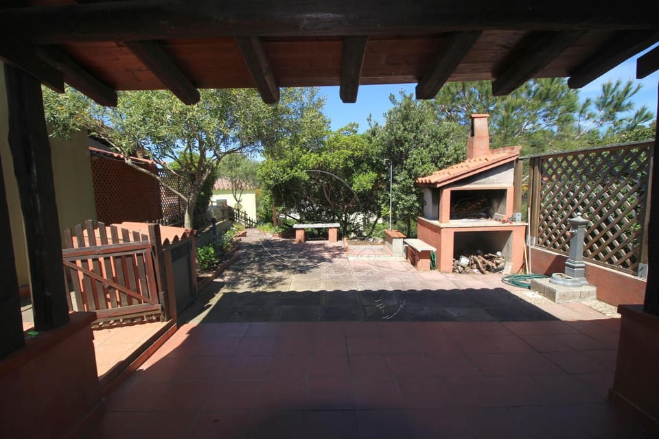 Patio, Spring, Day, On site, Inner courtyard view