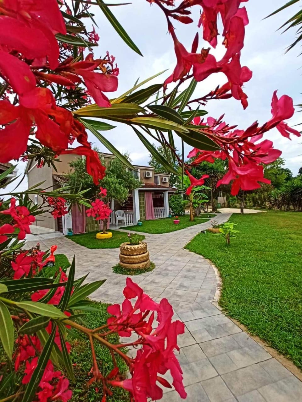 Garden, Garden view