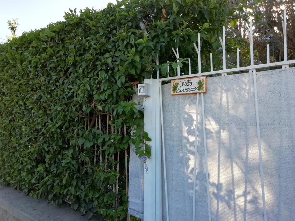 Day, Garden view