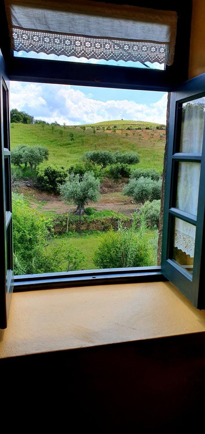 Day, Natural landscape