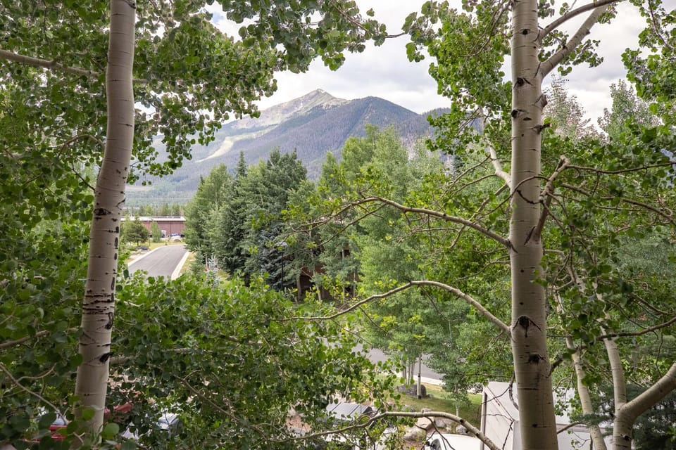 Lagoon Royal Townhome: Mountain Views Meet Modern Comforts Apartment in Frisco