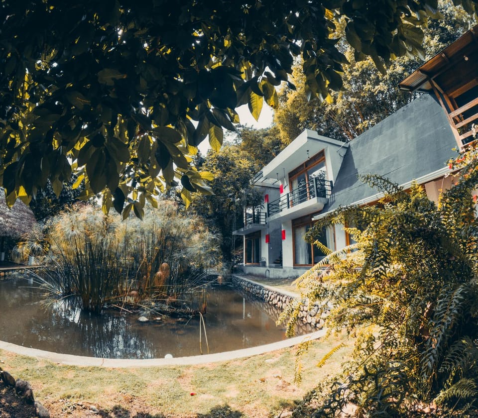 Property building, Day, Natural landscape