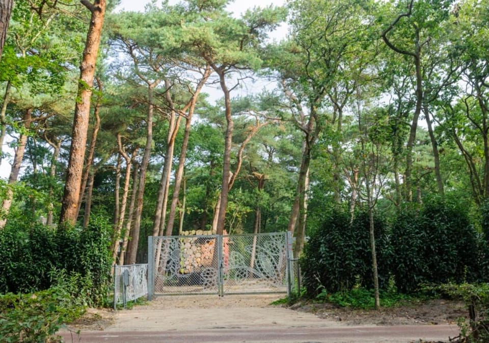 Natural landscape, Garden
