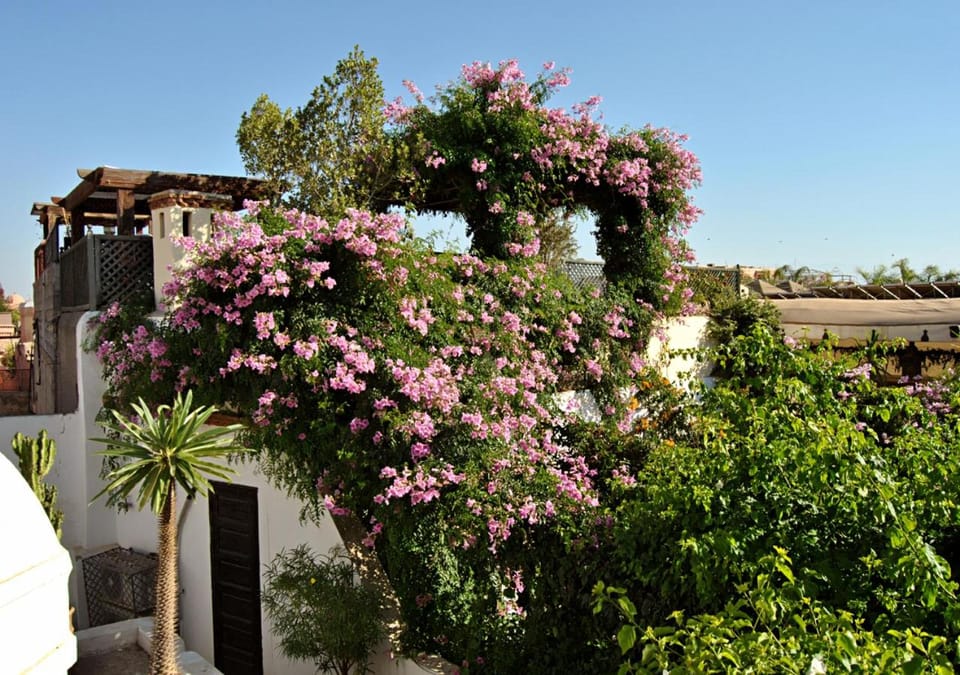 Riad Lyla Riad in Marrakesh