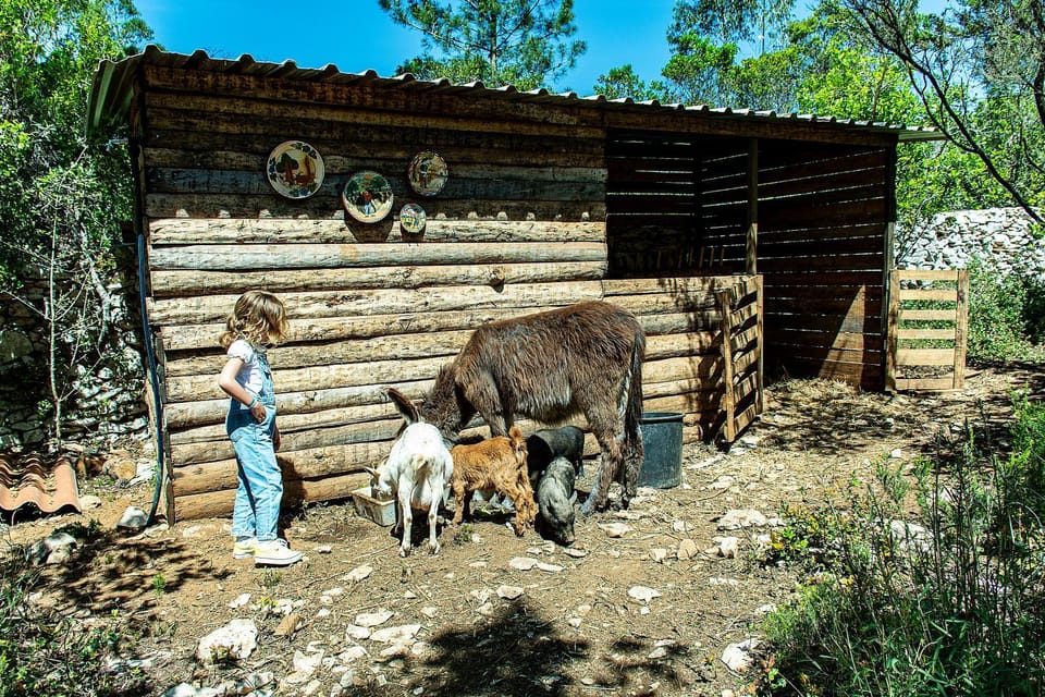 Natural landscape, Children play ground, Animals, children, Family