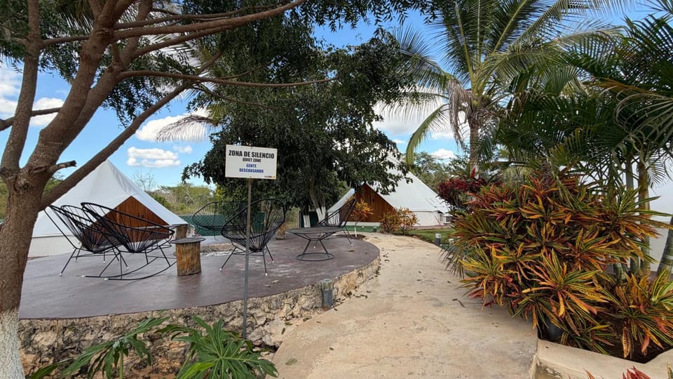 Garden view