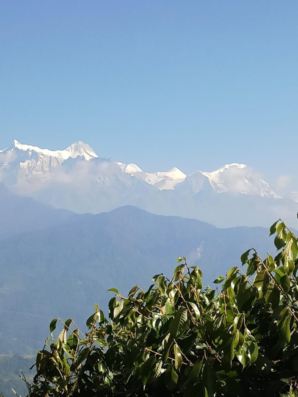 Hotel Lotus Inn Hotel in Bagmati Province, Nepal