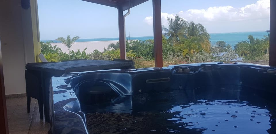 L'ALIZÉE & SPA Jacuzzi privatif haut de gamme House in Leeward Islands