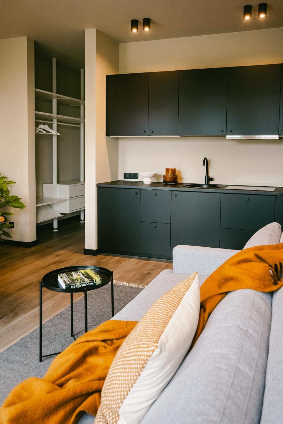 Kitchen or kitchenette, Living room