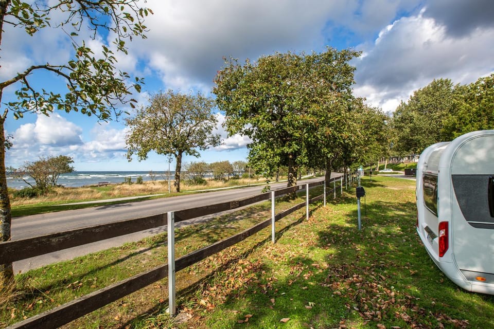 Natural landscape, Garden, Garden view