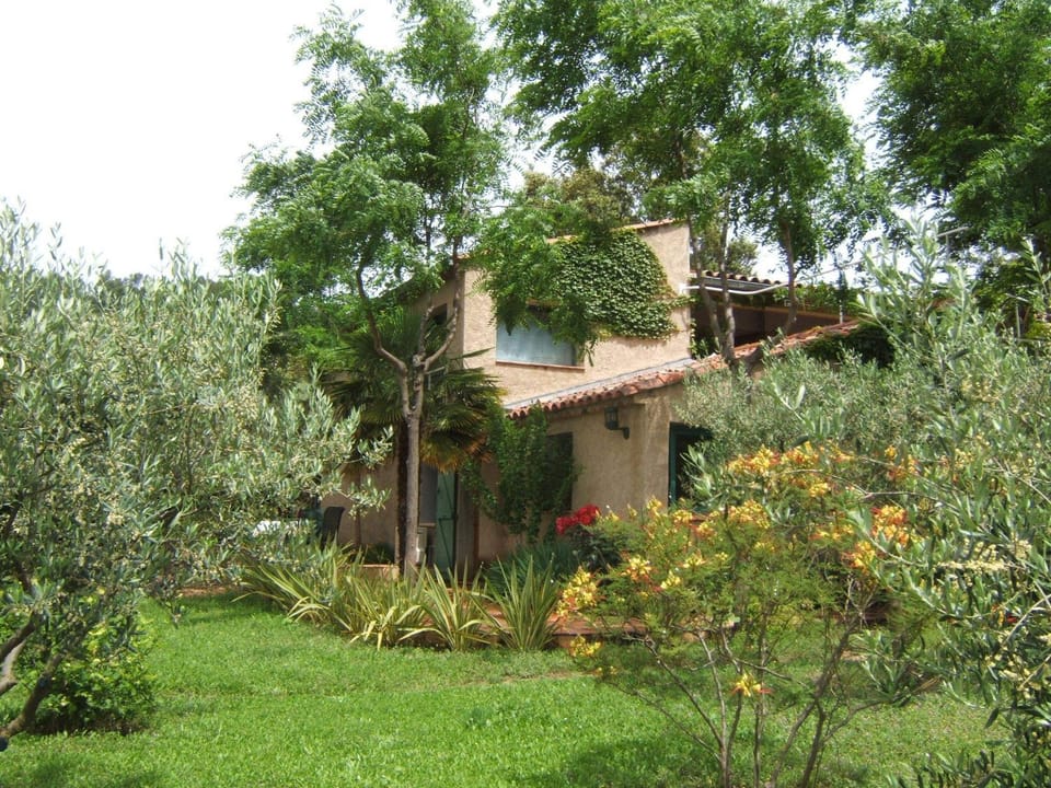 Facade/entrance, Garden