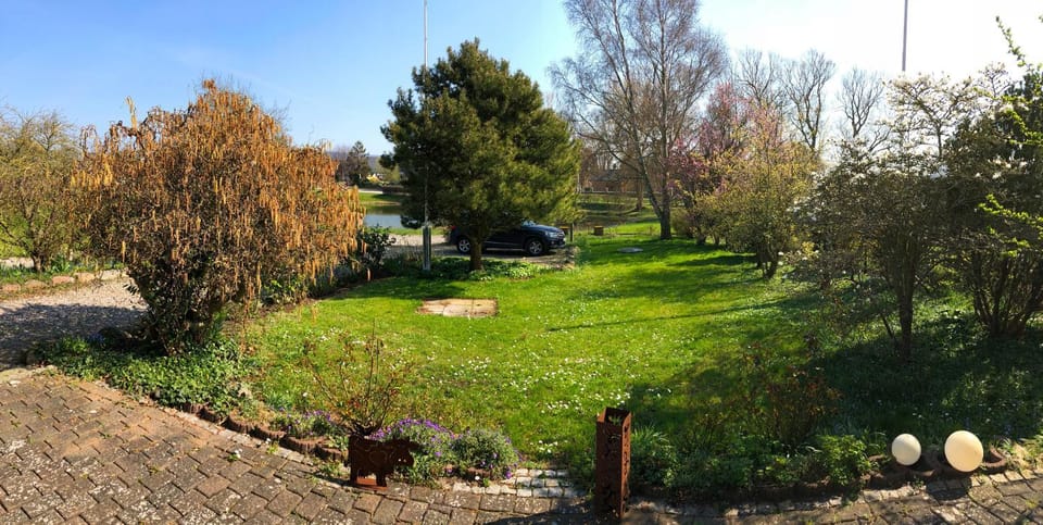 Spring, Day, On site, Lake view