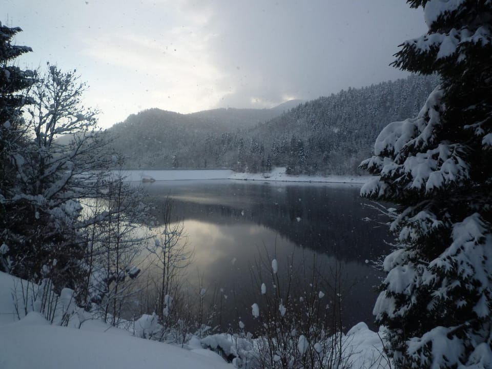 Winter