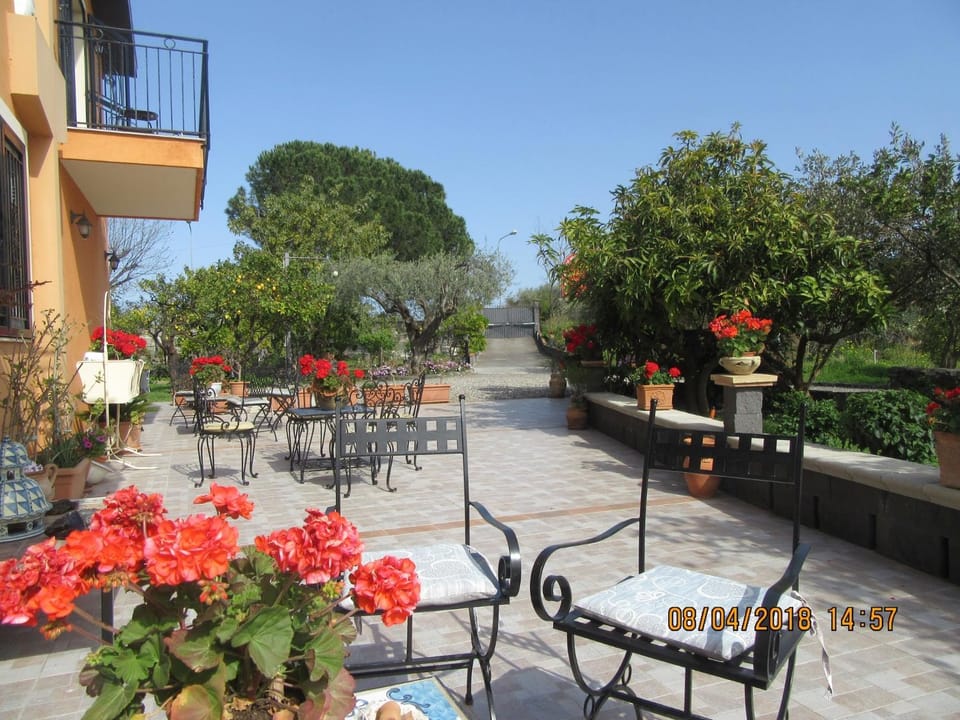 Patio, Facade/entrance