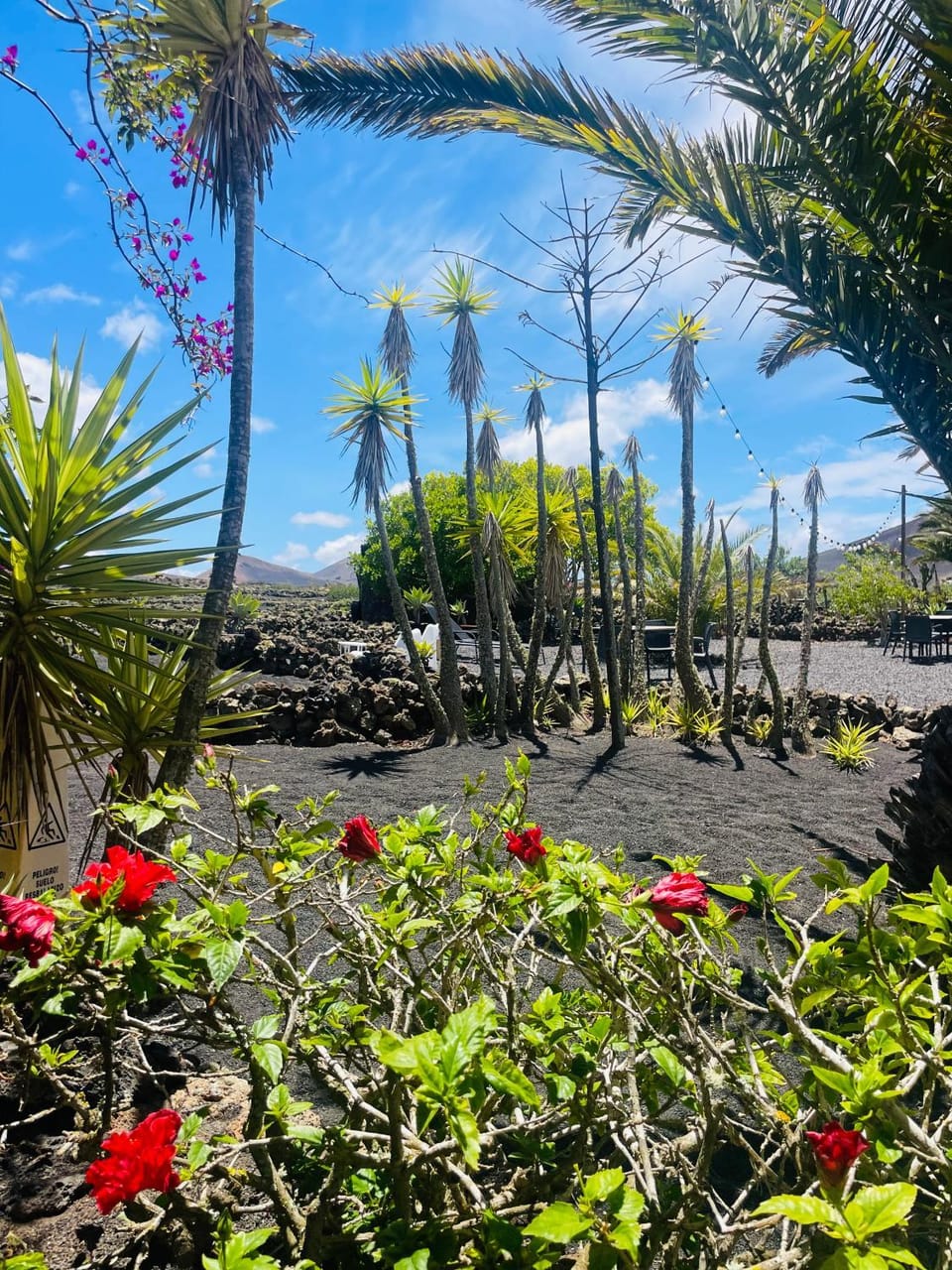 Finca Malvasia Rural Estate & Vineyard Bed and Breakfast in Isla de Lanzarote