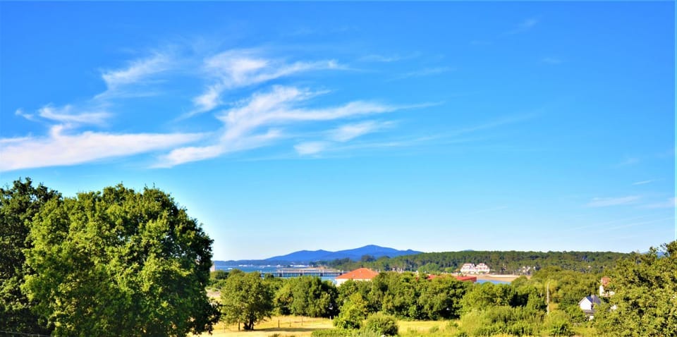 Natural landscape, Sea view
