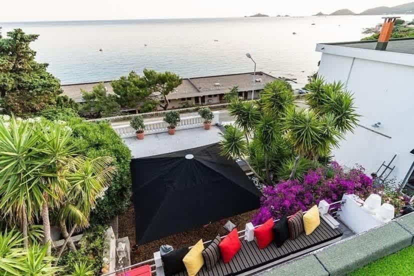 Day, Garden, Garden view
