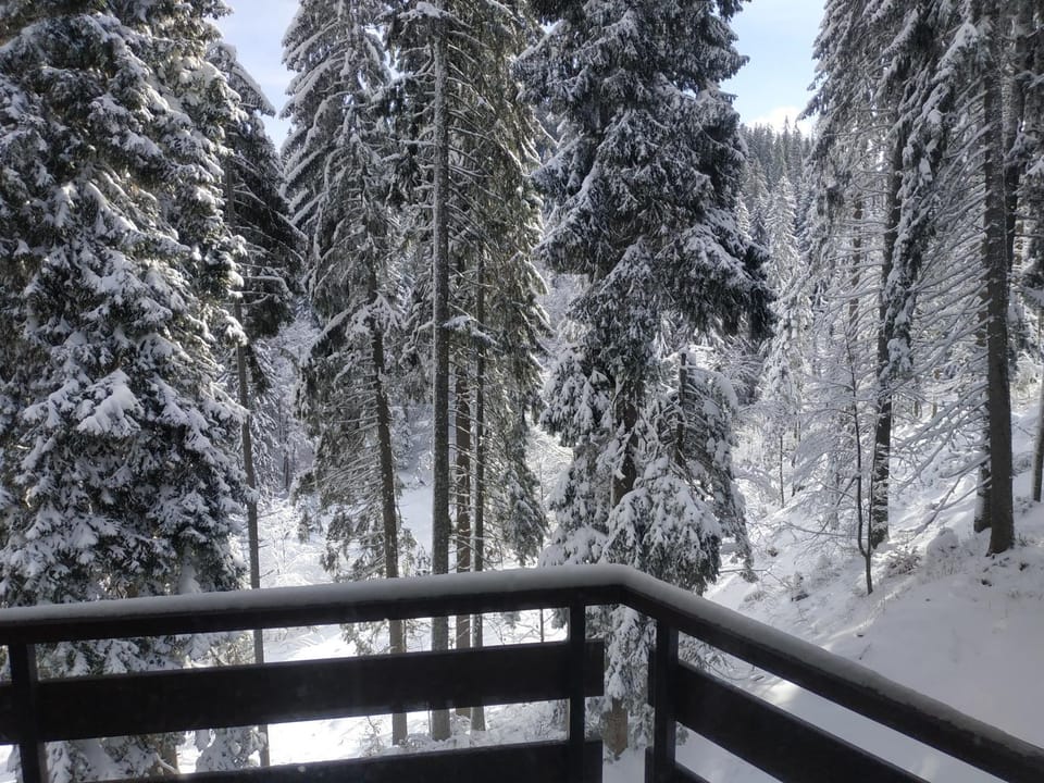 Day, Natural landscape, Winter, Balcony/Terrace, Mountain view