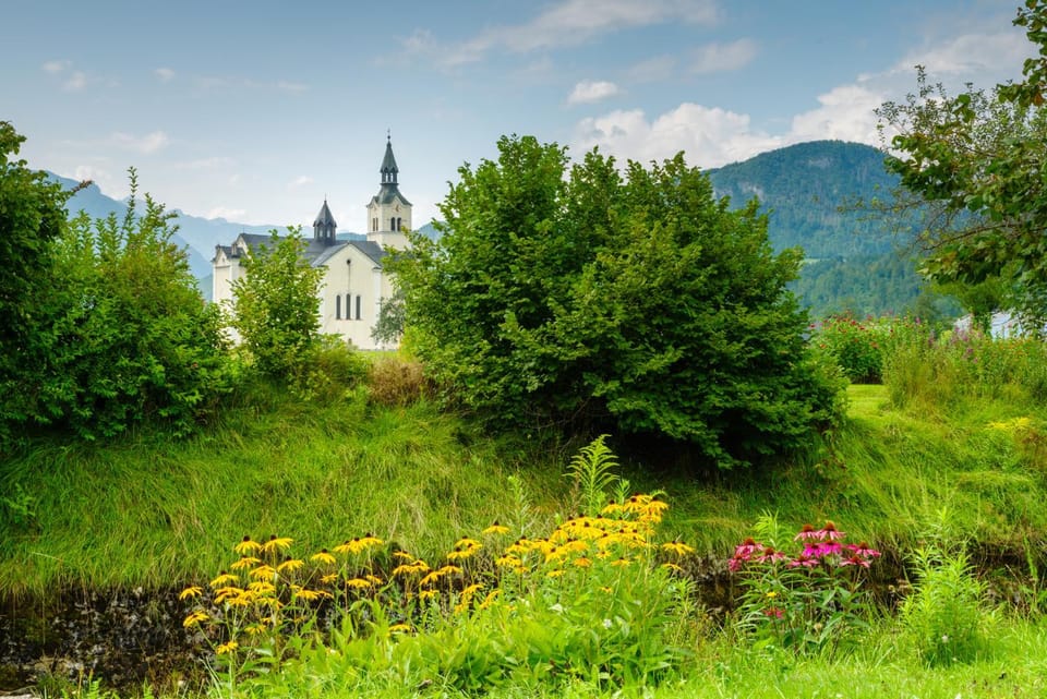 Garden view