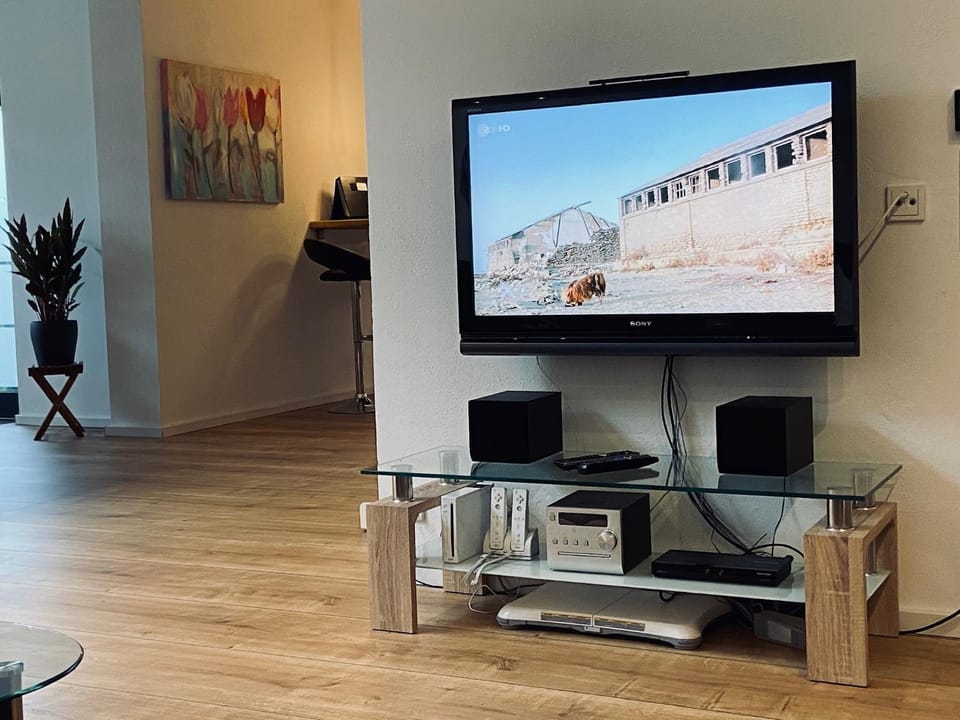TV and multimedia