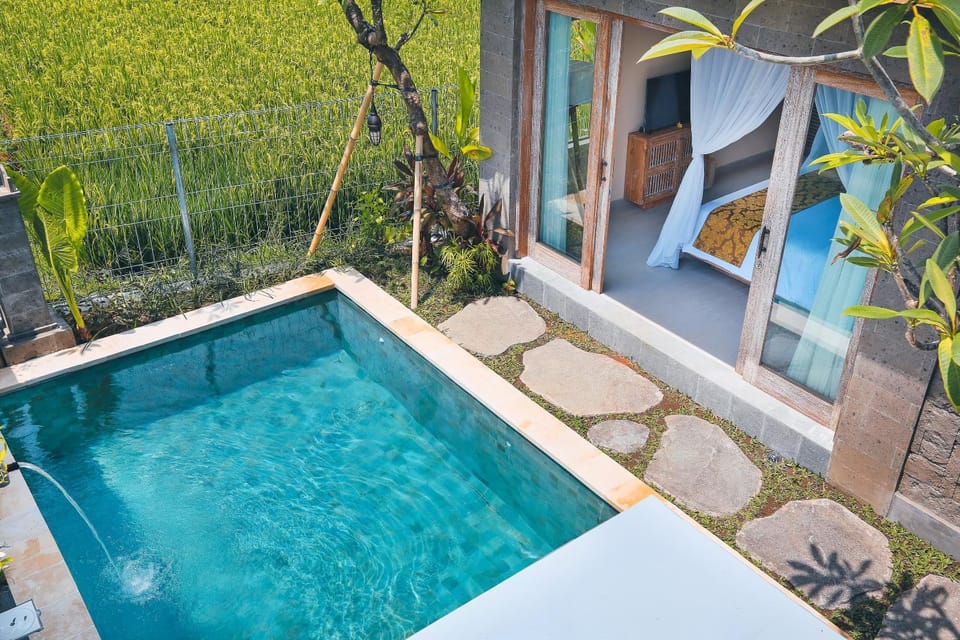 Day, Garden view, Pool view, Swimming pool