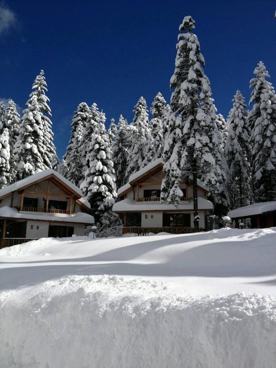 Winter, View (from property/room)