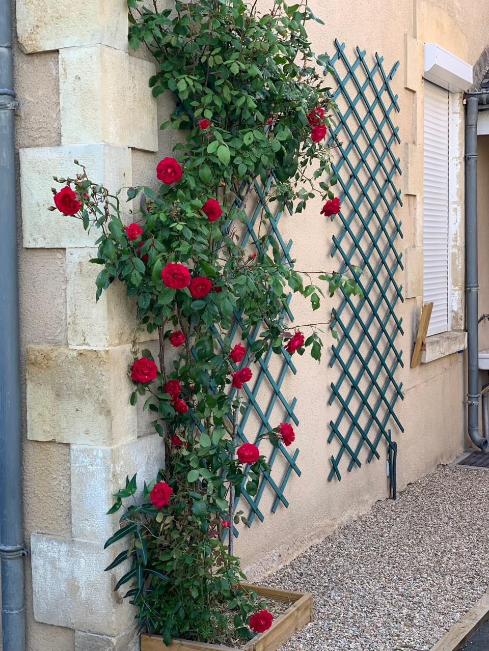 Studio Gallieni Apartment in Centre-Val de Loire