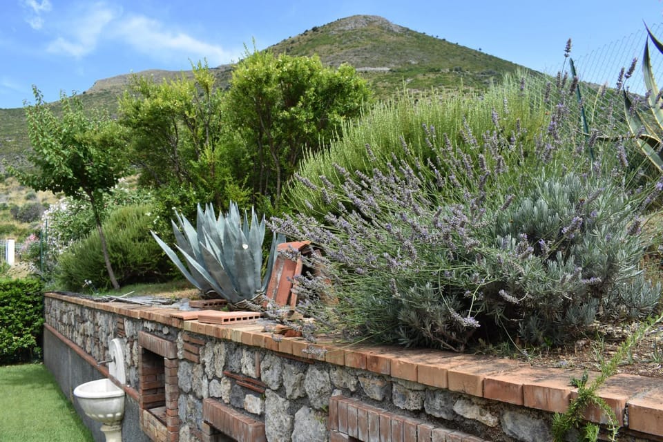 Natural landscape, Garden, Garden view, Mountain view
