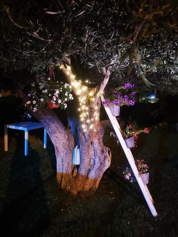 Beb oasi marina Bed and Breakfast in Sicily