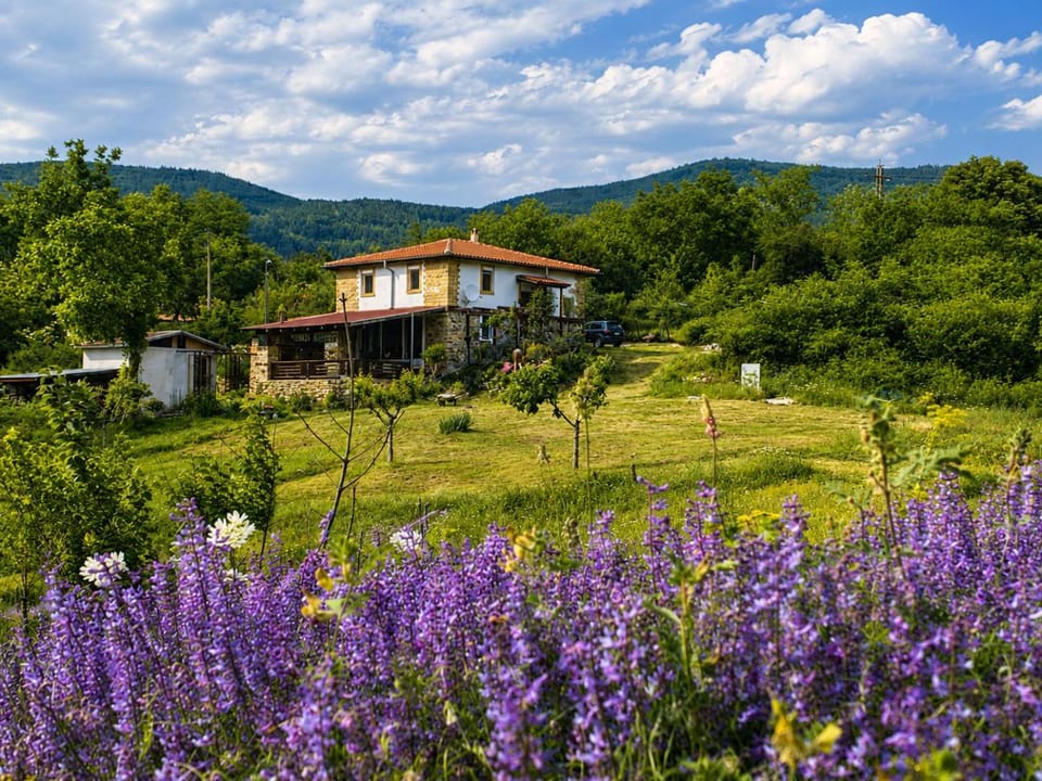 View (from property/room), Garden view