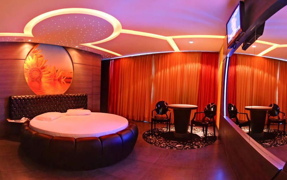 Bed, TV and multimedia, Seating area