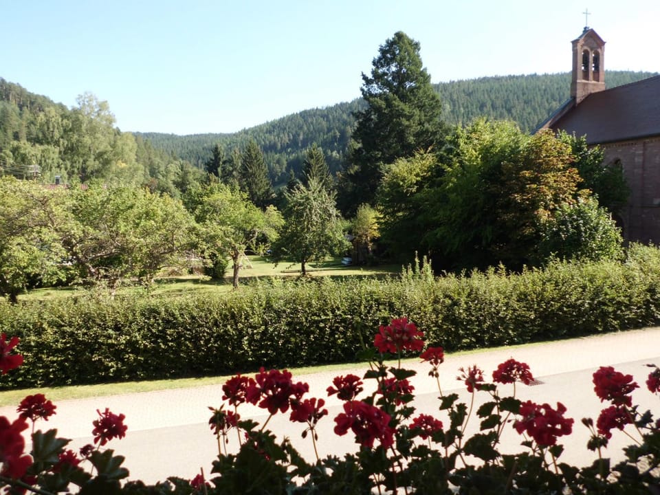 Garden view
