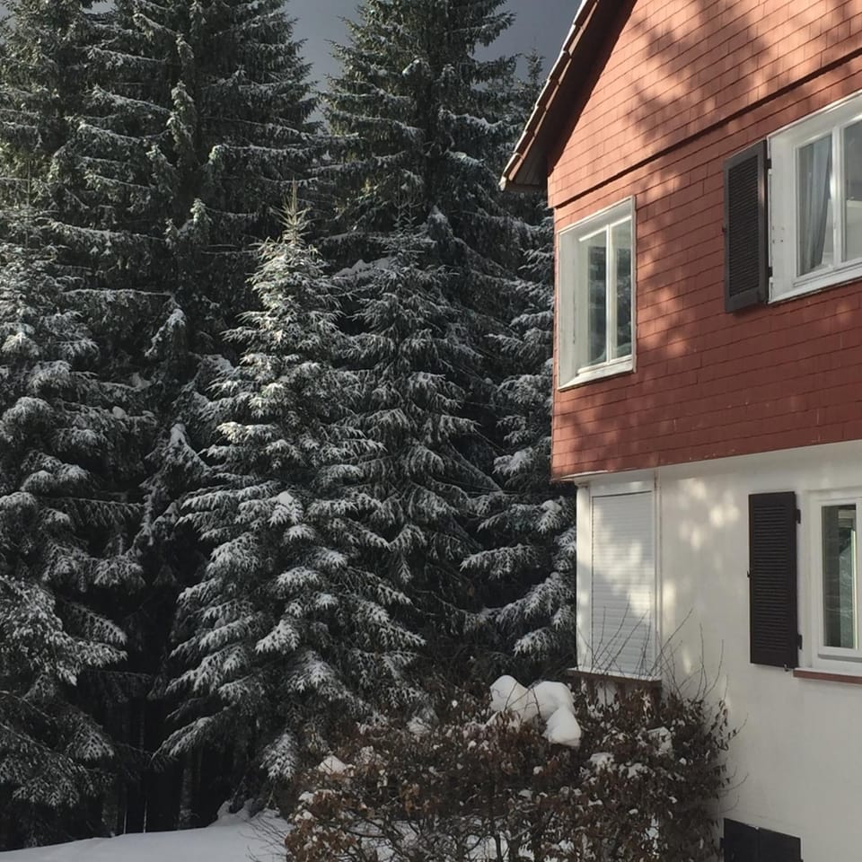 Ferienwohnung Börner ll Apartment in Ortenau