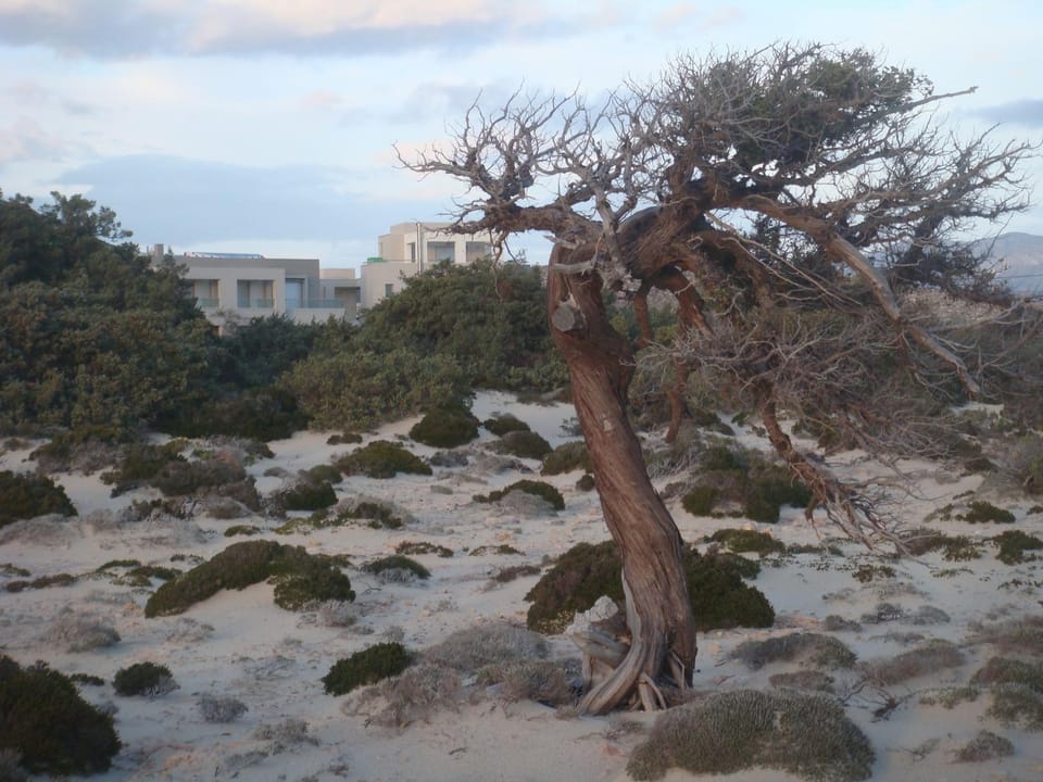 Natural landscape