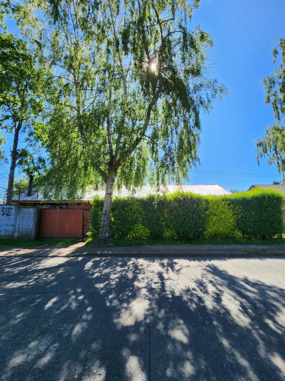 Property building, Neighbourhood