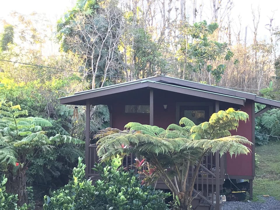 Property building, Garden
