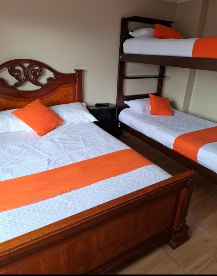 Bed, Photo of the whole room, bunk bed