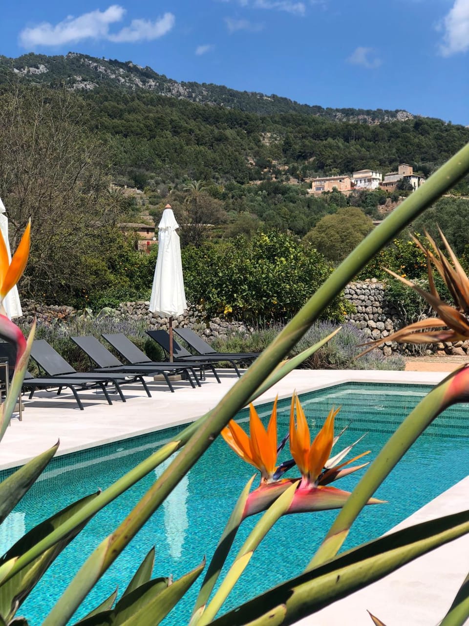 Mountain view, Swimming pool