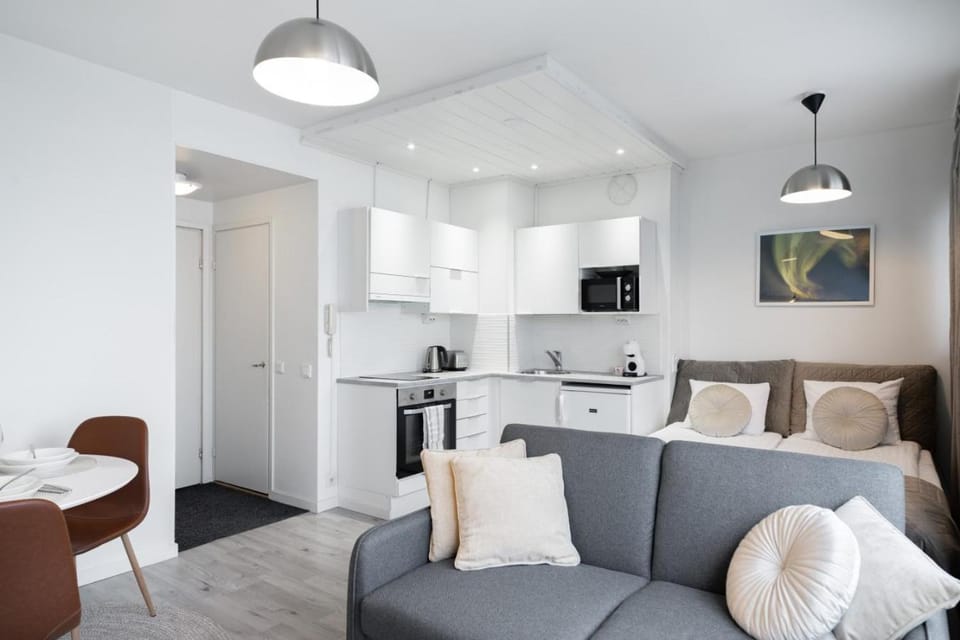 City Centre Studio, Free Parking By Lapland Host Apartment in Rovaniemi