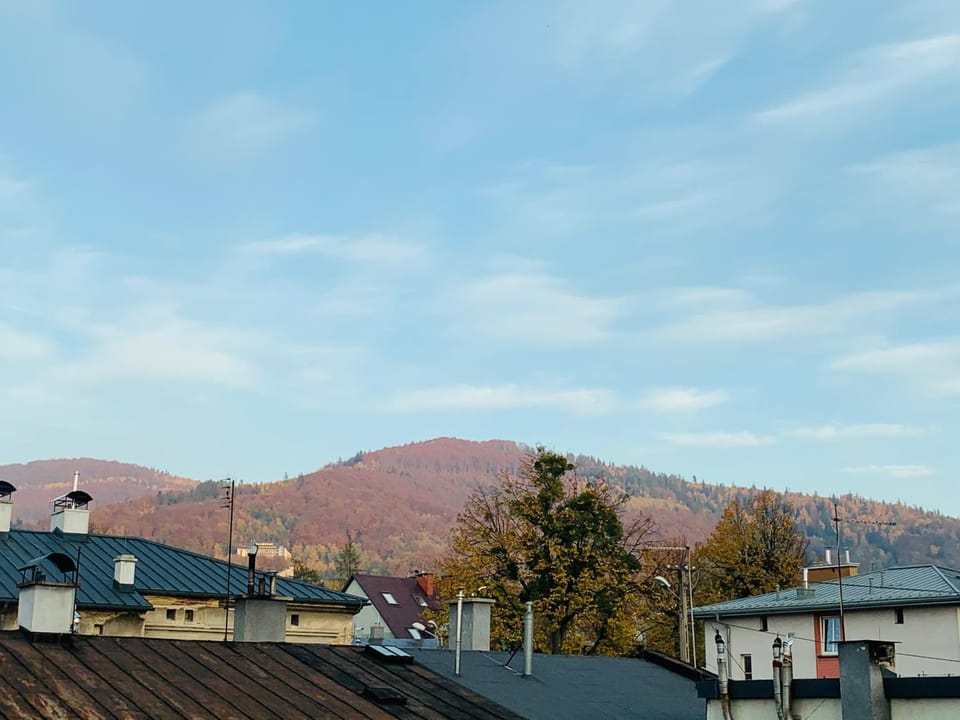 View (from property/room)
