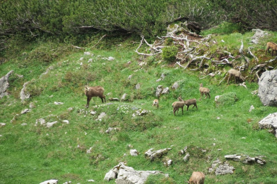 Natural landscape