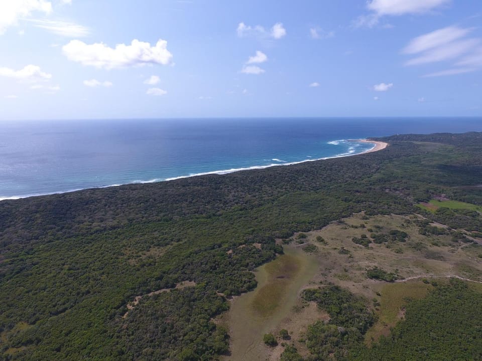 Bird's eye view, Fishing, Snorkeling, Beach, Diving, Sea view