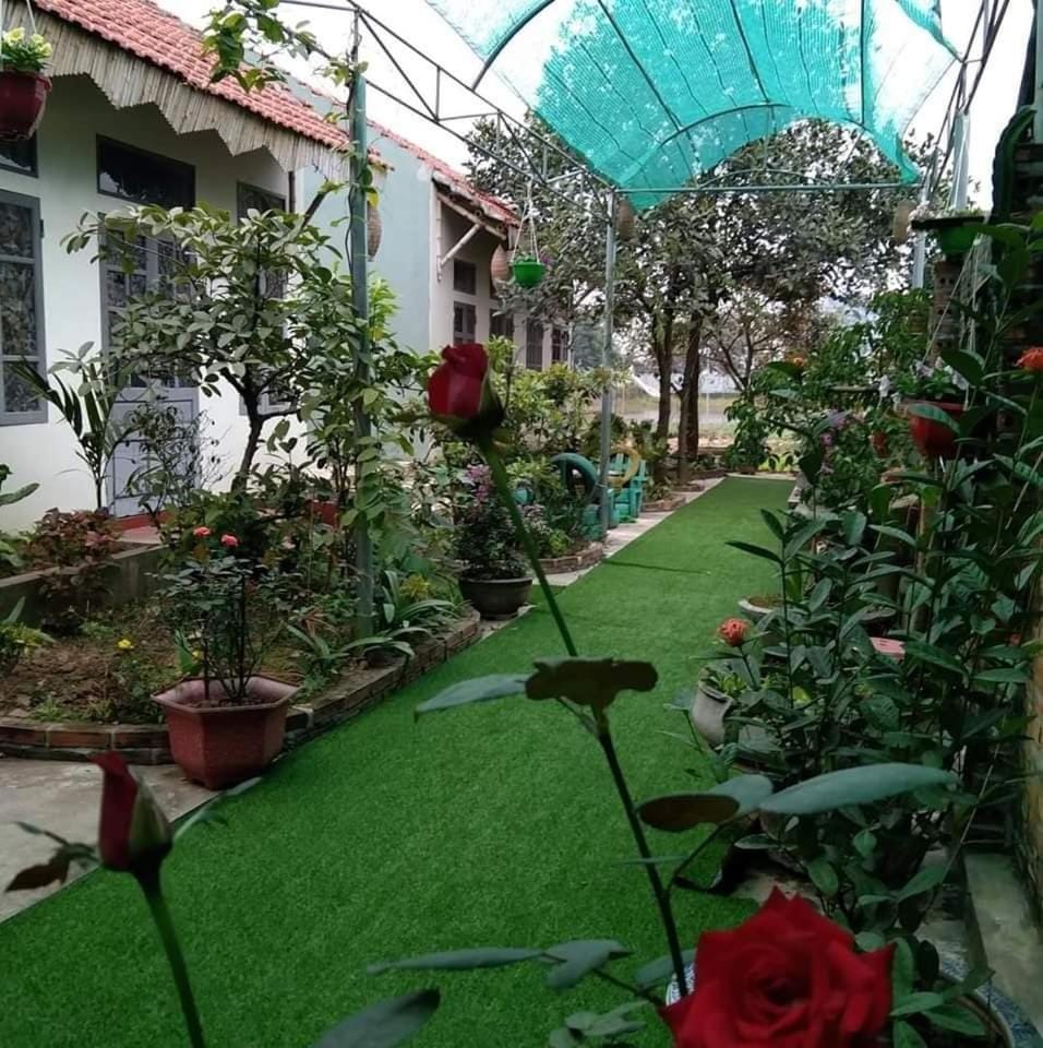 Patio, Garden
